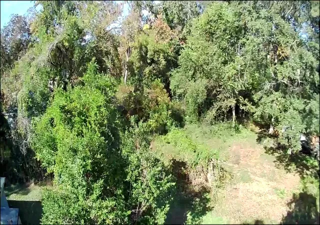 8th image of 543 Basin St, Augusta, GA 30909 | MLS# 98225096