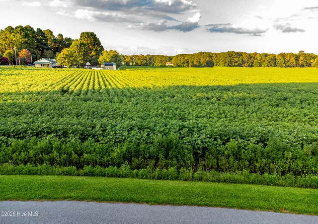 Photo 1 of Land for sale at Tbd Whitehat Rd, Hertford, NC 27944 | MLS# 100593288 | Listing updated on 2026-09-17