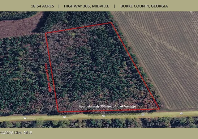 Homes for sale in Midville, GA | 00 Georgia 305, Midville, GA 30441 | MLS# 100574814