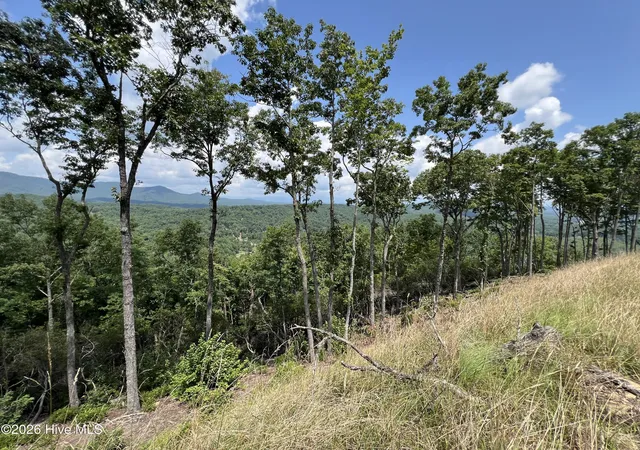Photo 3 of Land for sale at 182 & 183 Skyline View Dr, Murphy, NC 28906 | MLS# 100582488 | Listing updated on 2026-08-19