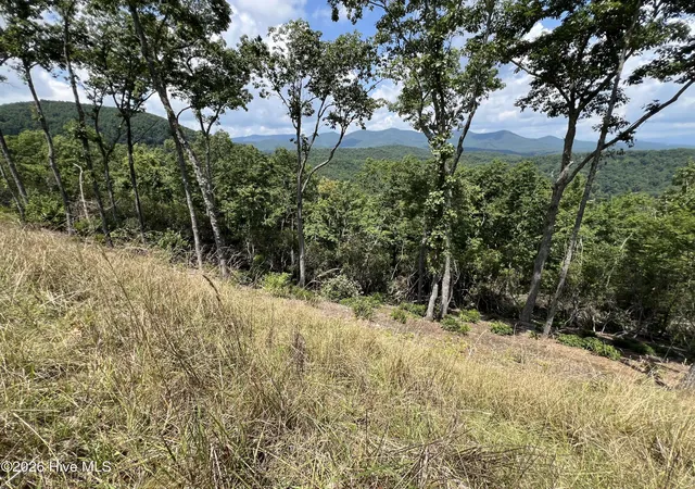 Photo 5 of Land for sale at 182 & 183 Skyline View Dr, Murphy, NC 28906 | MLS# 100582488 | Listing updated on 2026-08-19