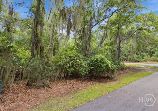 Photo 1 of Land for sale at Lot Ne 67 Delegal Dr, Townsend, GA 31331 | MLS# SA358623 | Listing updated on 2026-07-07