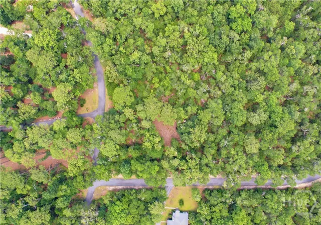 Photo 2 of Land for sale at Lot Ne 67 Delegal Dr, Townsend, GA 31331 | MLS# SA358623 | Listing updated on 2026-07-07