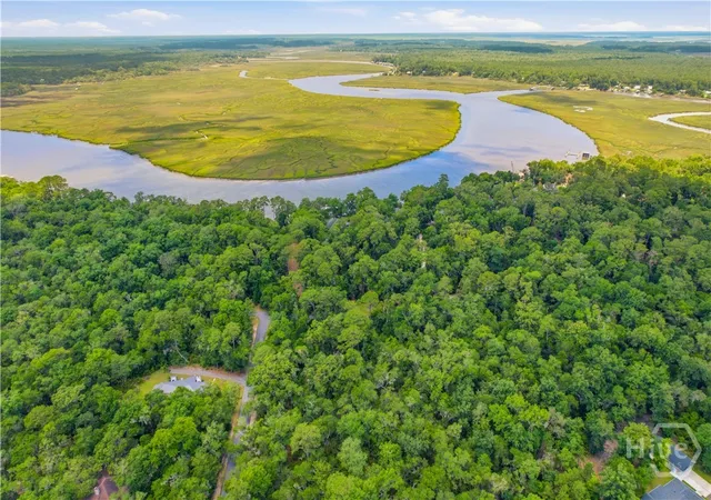 Photo 3 of Land for sale at Lot Ne 67 Delegal Dr, Townsend, GA 31331 | MLS# SA358623 | Listing updated on 2026-07-07