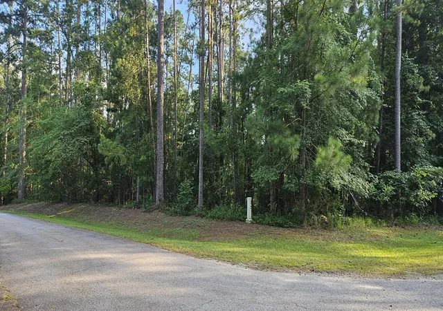 Homes for sale in Mc Cormick, SC | Bl 6 Lot 9 Davis Dr, Mc Cormick, SC 29835 | MLS# 98224324