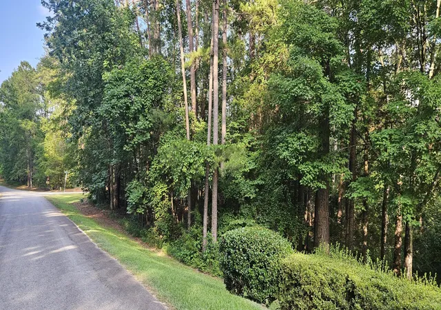 Photo 3 of Land for sale at Bl 6 Lot 9 Davis Dr, Mc Cormick, SC 29835 | MLS# 98224324 | Listing updated on 2026-08-18