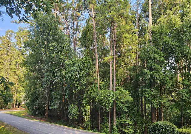 Homes for sale in Mc Cormick, SC | Bl 6 Lot 9 Davis Dr, Mc Cormick, SC 29835 | MLS# 98224324