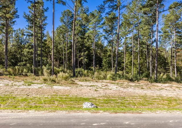 Photo 4 of Land for sale at 150 Beagle Chase Dr, Appling, GA 30802 | MLS# 98224840 | Listing updated on 2026-08-18