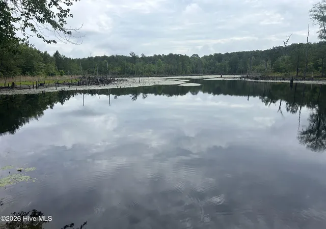 Photo 1 of Land for sale at 0 E V Hogan Dr, Rockingham, NC 28379 | MLS# 100577322 | Listing updated on 2026-08-18
