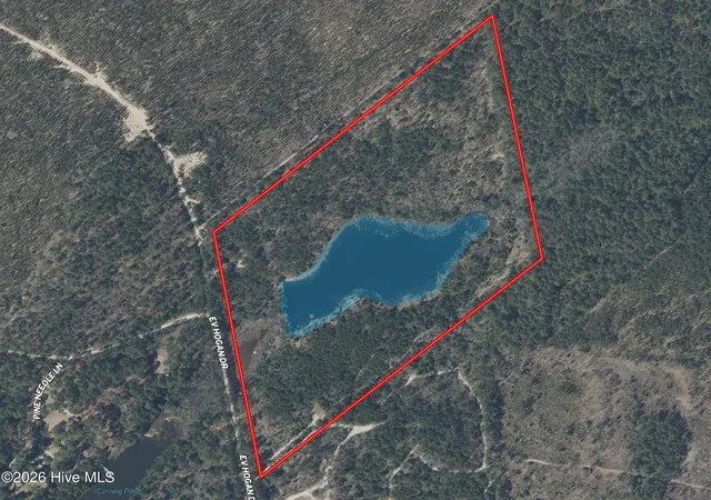 Photo 2 of Land for sale at 0 E V Hogan Dr, Rockingham, NC 28379 | MLS# 100577322 | Listing updated on 2026-08-18