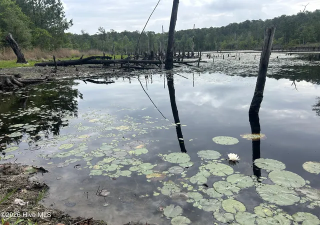 Photo 4 of Land for sale at 0 E V Hogan Dr, Rockingham, NC 28379 | MLS# 100577322 | Listing updated on 2026-08-18