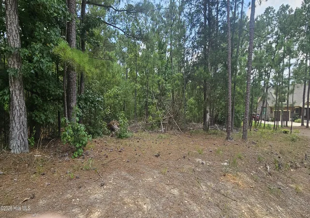 Photo 1 of Land for sale at Lot 2 Amelia Dr, Mc Cormick, SC 29835 | MLS# 100596257 | Listing updated on 2026-08-14