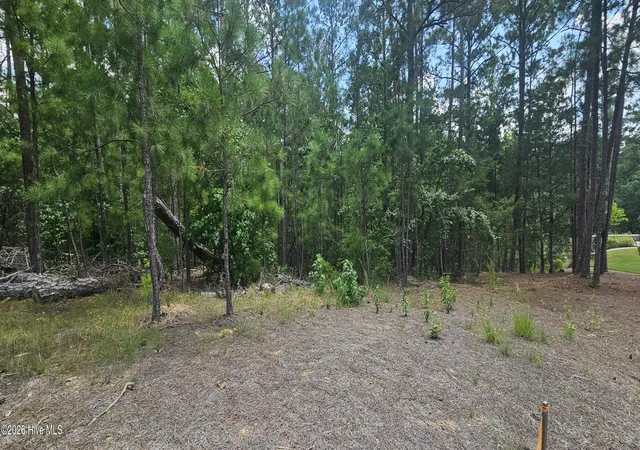 Photo 2 of Land for sale at Lot 2 Amelia Dr, Mc Cormick, SC 29835 | MLS# 100596257 | Listing updated on 2026-08-14