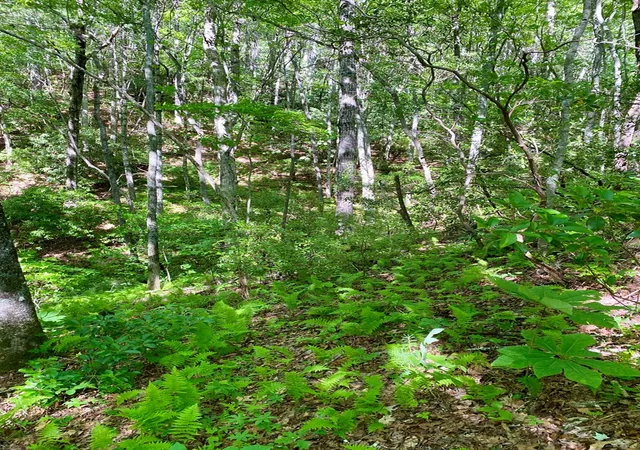 Photo 2 of Land for sale at 00 Deer Run, Robbinsville, NC 28771 | MLS# 98543709 | Listing updated on 2026-06-01
