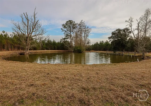 Homes for sale in Springfield, GA | 307 Chester Thomas Rd, Springfield, GA 31329 | MLS# SA348496