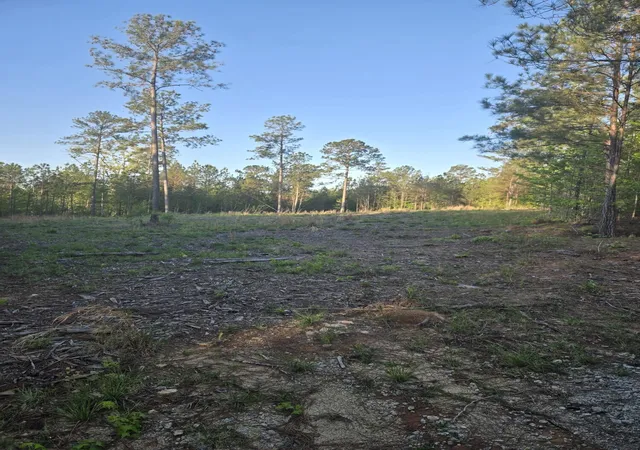 Homes for sale in Lincolnton, GA | 0 Sweetgum Ln, Lincolnton, GA 30817 | MLS# 98224292
