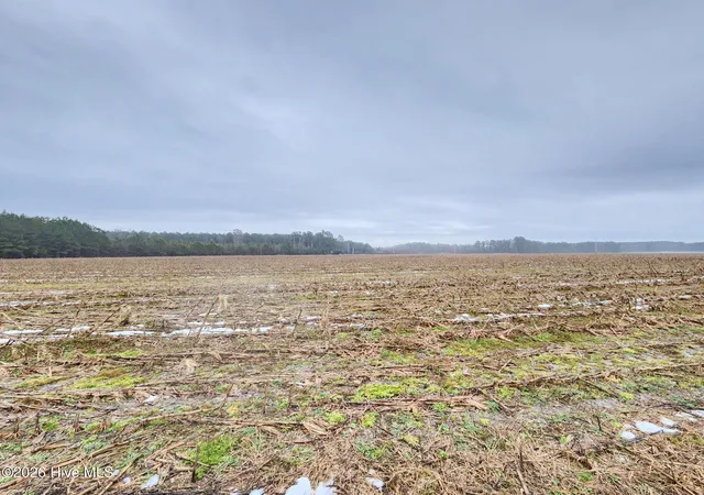 Land for sale at Tbd Ramsey Frd Rd, Tabor City, NC 28463 | MLS# 100553251