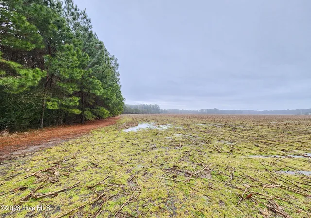 Photo 4 of House for sale at Tbd Ramsey Frd Rd, Tabor City, NC 28463 | MLS# 100553251 | Listing updated on 2026-10-05