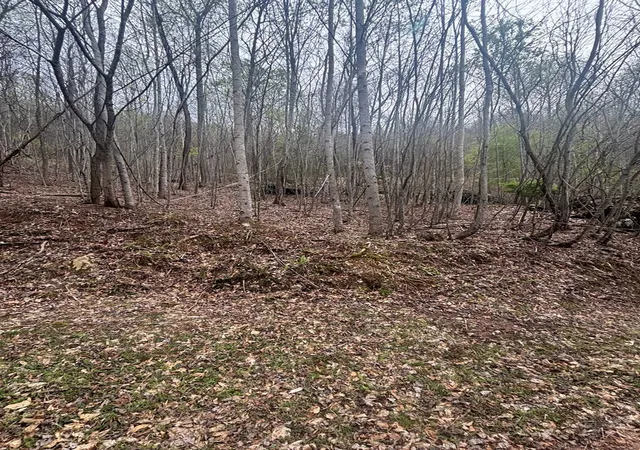 Photo 2 of Land for sale at Lot 4 Buck Ridge Dr, Murphy, NC 28906 | MLS# 98544256 | Listing updated on 2026-07-21