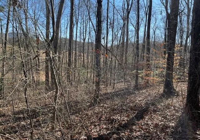 Photo 1 of Land for sale at Lot 2e The Woodlands, Hayesville, NC 28904 | MLS# 98524584 | Listing updated on 2026-07-21