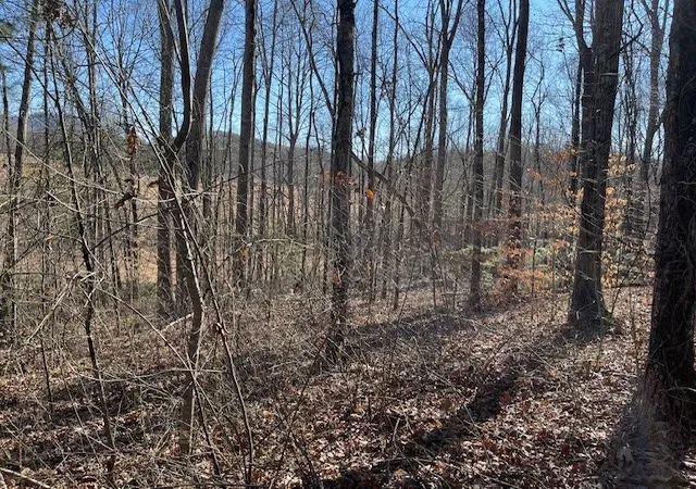 Photo 2 of Land for sale at Lot 2e The Woodlands, Hayesville, NC 28904 | MLS# 98524584 | Listing updated on 2026-07-21