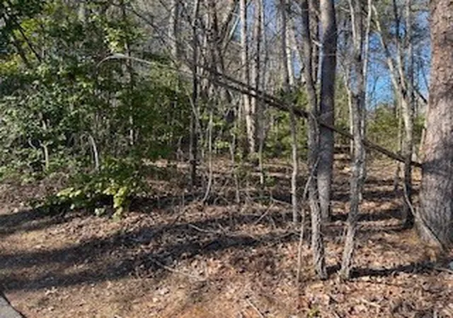 Photo 3 of Land for sale at Lot 2e The Woodlands, Hayesville, NC 28904 | MLS# 98524584 | Listing updated on 2026-07-21