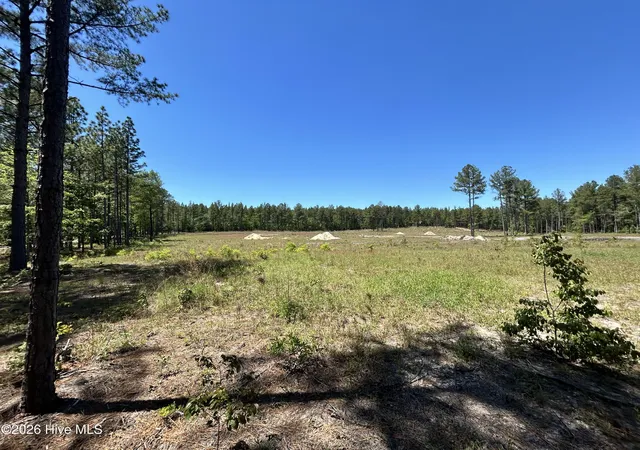 Photo 2 of Land for sale at 349 Lally Cir, Aberdeen, NC 28315 | MLS# 100559588 | Listing updated on 2026-07-15