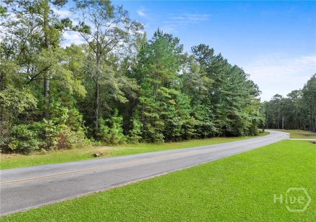 Homes for sale in Statesboro, GA | 0 Plantation Pointe Dr, Statesboro, GA 30461 | MLS# CL352677