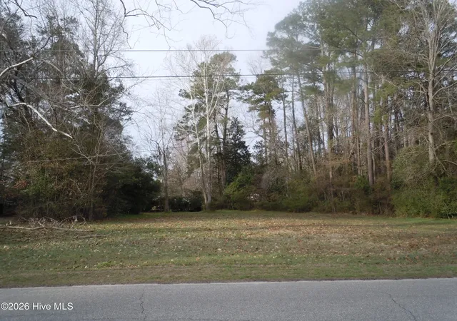 Homes for sale in Tabor City, NC | Tbd Near 117 Floyd St, Tabor City, NC 28463 | MLS# 100556448