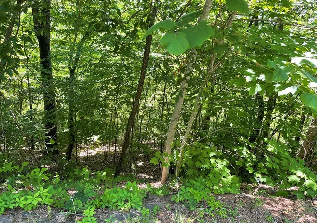 Photo 2 of Land for sale at Lot 33b Grandview Dr, Hayesville, NC 28904 | MLS# 98500804 | Listing updated on 2026-07-21