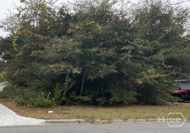 Photo 1 of Land for sale at 0 Dixon St, Savannah, GA 31405 | MLS# SA356114 | Listing updated on 2026-07-31
