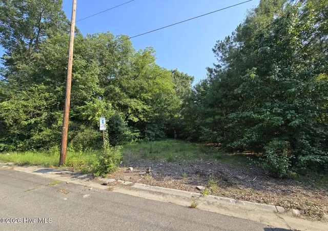 Photo 2 of Land for sale at Tbd Grant St, Laurinburg, NC 28352 | MLS# 100594133 | Listing updated on 2026-08-12