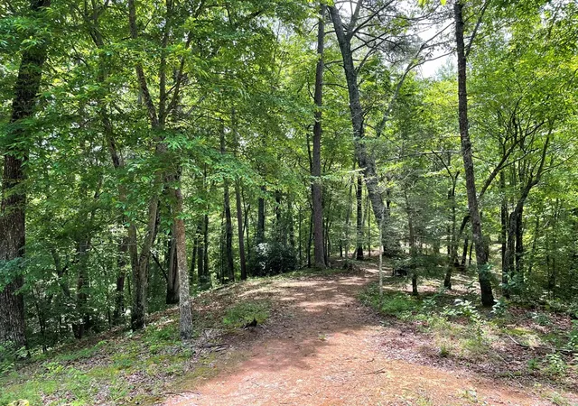 27th image of 21 Collett Woods Trl, Andrews, NC 28901 | MLS# 100588588