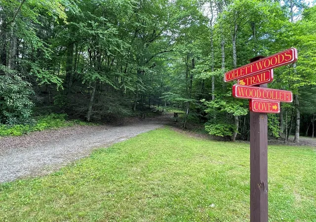 2nd image of 21 Collett Woods Trl, Andrews, NC 28901 | MLS# 100588588
