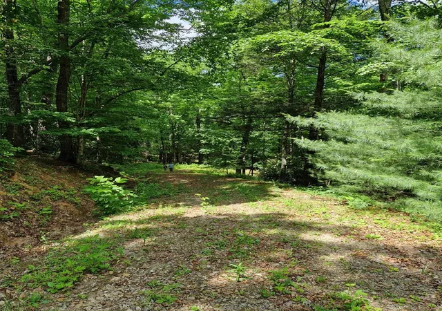 3rd image of 21 Collett Woods Trl, Andrews, NC 28901 | MLS# 100588588