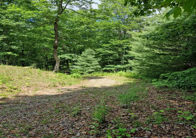 4th image of 21 Collett Woods Trl, Andrews, NC 28901 | MLS# 100588588