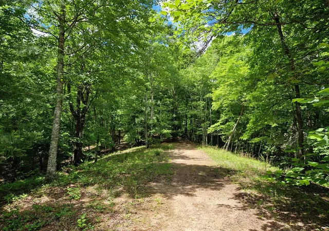 5th image of 21 Collett Woods Trl, Andrews, NC 28901 | MLS# 100588588