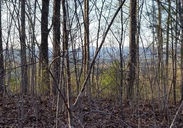 Photo 1 of Land for sale at 00 Dasali Wy, Murphy, NC 28906 | MLS# 98543703 | Listing updated on 2026-06-01
