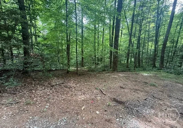 Photo 1 of Land for sale at 389 Fox Trot, Clayton, GA 30525 | MLS# CL355670 | Listing updated on 2026-05-29