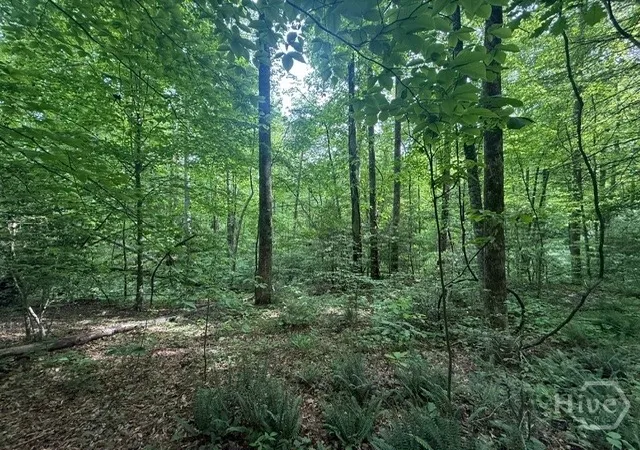 Photo 2 of Land for sale at 389 Fox Trot, Clayton, GA 30525 | MLS# CL355670 | Listing updated on 2026-05-29