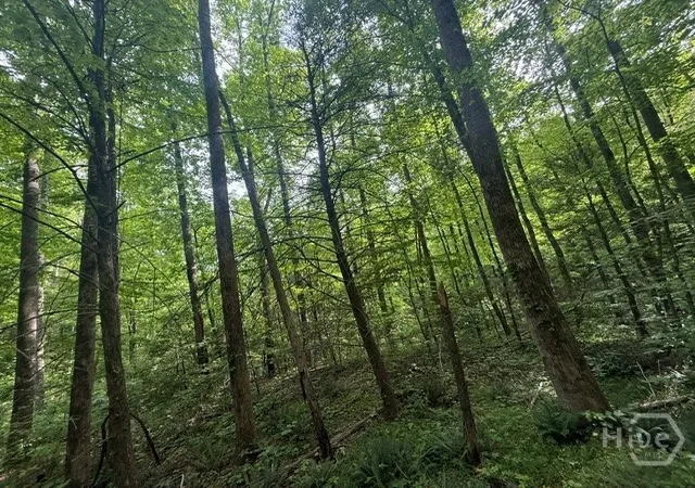Photo 3 of Land for sale at 389 Fox Trot, Clayton, GA 30525 | MLS# CL355670 | Listing updated on 2026-05-29