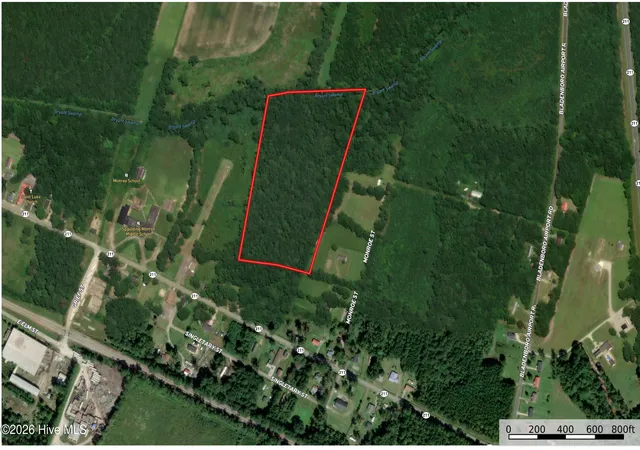 Photo 1 of Land for sale at Tbd Martin Luther King Junior Dr, Bladenboro, NC 28320 | MLS# 100596132 | Listing updated on 2026-08-18
