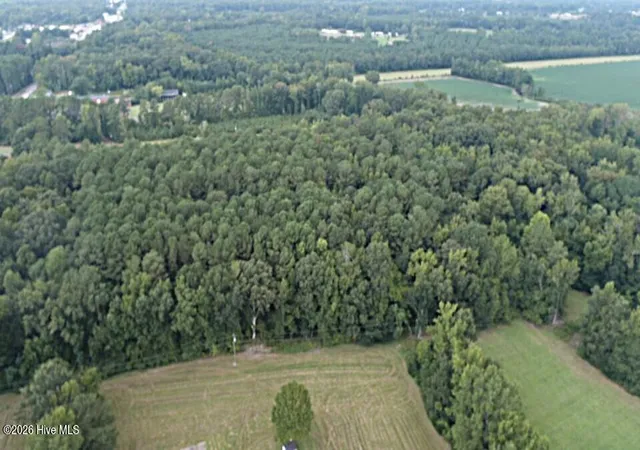 Photo 4 of Land for sale at Tbd Martin Luther King Junior Dr, Bladenboro, NC 28320 | MLS# 100596132 | Listing updated on 2026-08-18