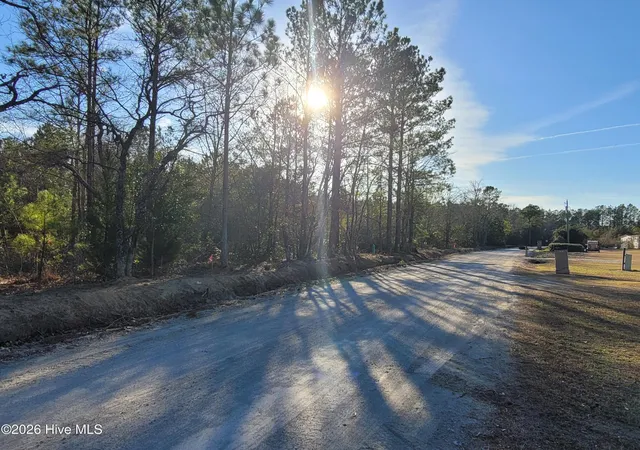 Photo 3 of Land for sale at Lot 2 Auburn Dr, Loris, SC 29569 | MLS# 100549144 | Listing updated on 2026-08-25
