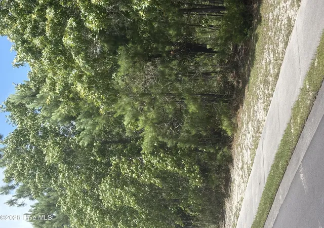 1st image of 3005 Arundel Hl Sw, Shallotte, NC 28470 | MLS# 100584034