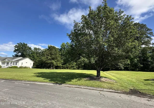 Photo 3 of Land for sale at 98 Carolina Way, Arapahoe, NC 28510 | MLS# 100578030 | Listing updated on 2026-08-18