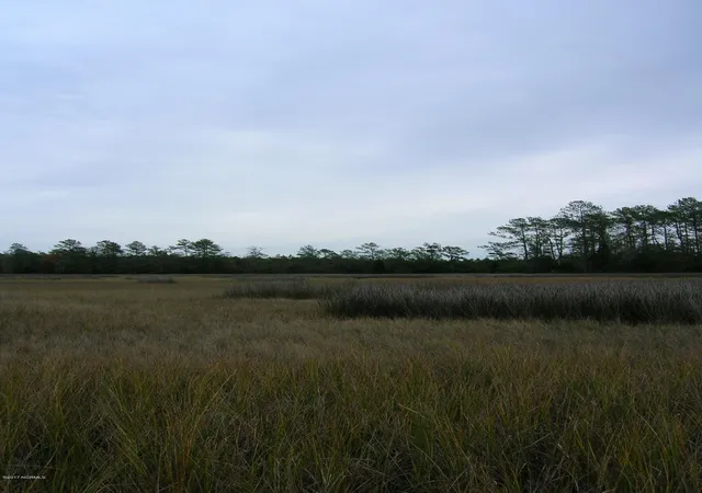 Photo 1 of Land for sale at 205 Hardesty Farm Rd, Newport, NC 28570 | MLS# 100372525 | Listing updated on 2026-03-03