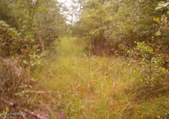 Photo 3 of Land for sale at 205 Hardesty Farm Rd, Newport, NC 28570 | MLS# 100372525 | Listing updated on 2026-03-03