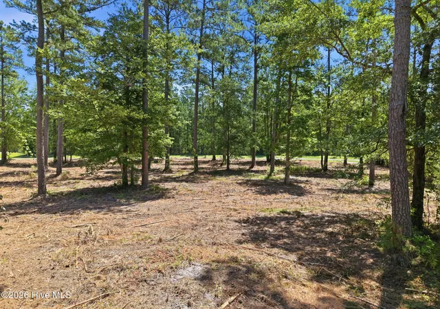 Homes for sale in Belhaven, NC | 54 & 55 Shipwreck Dr, Belhaven, NC 27810 | MLS# 100561854