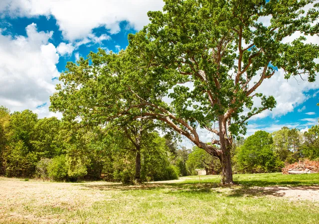 1st image of 00 Ralph Goolsby Rd, Lincolnton, GA 30817 | MLS# 98256614
